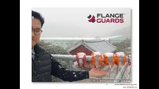 TAEWON FlangeGuards Safety Shield  20180212