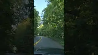 Winding road. #relaxing #asmr #family #views #scenery #country #driving #nature #goodnight #scenic
