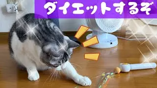 空ちゃんは現状維持、福ちゃんはダイエット頑張るぞ‼️