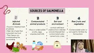 NAD529- Food pathogenic bacteria ( Salmonella SP ) by HS2571A