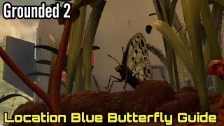 Grounded 2, Location Blue Butterfly Guide