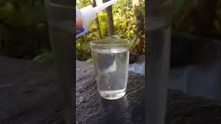 😱water vs fevi Kwik  experiment 🔥| fevi Kwik | experiment #shorts #shortvideo #youtubeshorts #short