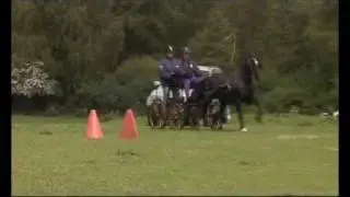 Carriage Driving With Sara Howe
