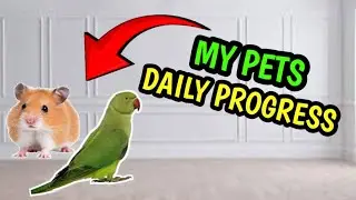 MY PETS UPDATE 😍
