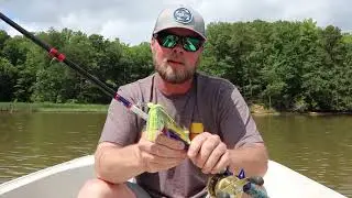 Snakehead tips and tricks