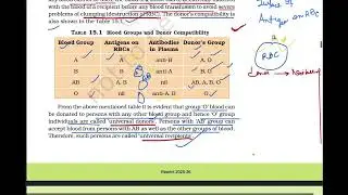 TYPES OF  BLOOD GROUP,ABO grouping,Rh grouping,Antigens , Antibodies,