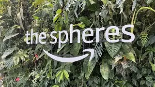 Experience the Magic! | Amazon Spheres