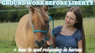 GROUNDWORK TO DO BEFORE LIBERTY | How to spot releasing 🦄💗