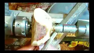 2025-11-26 Demo: Finding a Natural Edge Bowl in a Crotch with Doug Miller