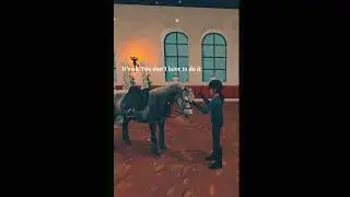 Steel&rsquo;s Story 🩶 | SSO Edit | Music by @Chillpeach