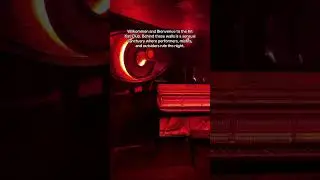 An inside look into Cabaret at the Kit Kat Club in NYC!