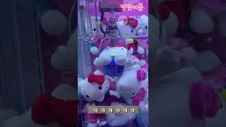 키티는 사랑..🫶🏻