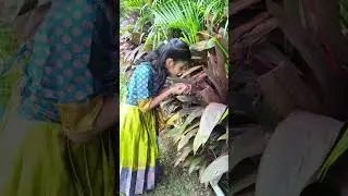 Tom 🍓 Jerry(Shree Nidhi Family)#vairal #cute #cutebaby #funny #vairalshort#comedy#siblings #sibling