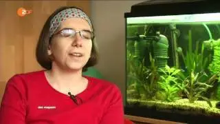 ZDF Menschen   das Magazin Endlich richtig wohnen - 05.03.2016