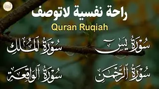 سورة يس❤️سورة الواقعة💛سورة الملك💚سورة الرحمن| سورالتحصين وزيادة الرزق والبركة بصوت هادئ مريح للقلب