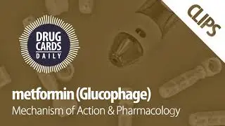 Metformin Mechanism of Action & Pharmacology | Drug Cards Daily Clips