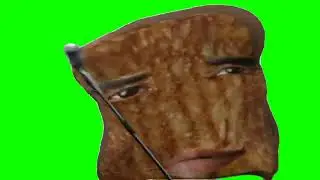 grilled cheese obama sandwich Green Screen