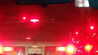McCain and McCain PV Traffic Lights