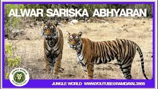 Alwar Sariska Abhyaran