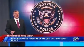 Proposed deputy chief of professional standards position | Tennessee This Week