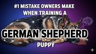 The #1 Mistake Owners Make When Training a German Shepherd Puppy