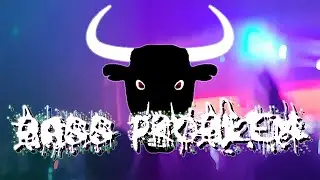 HARDCORE BULL - T1M3 F0R TUN3 (This Song Is A Tune)
