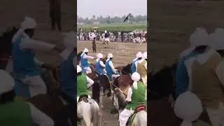 very fast horse in tent pegging event(Bhakkar) #nuqra#race horse#tentpegging #desi