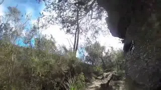 Bantry Bay Tracks