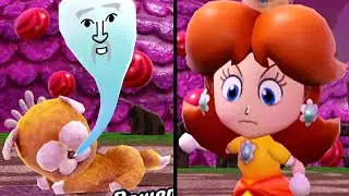 Super Mario Miitopia Woof O' the Wisp Boss Battle (Switch)