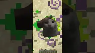 Totem of Cat Undying #shorts #shortsminecraft