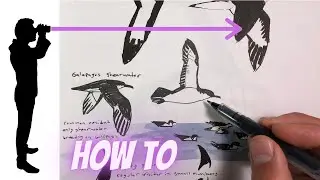 How to Draw With Binoculars: The Nature Journal Show
