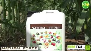 Natural Force