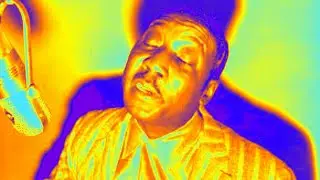Muddy Waters - Got My Mojo Working (1956)
