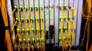 Dog Humps Juniper MX960