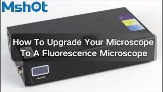 How to upgrade your microscope to a fluorescence microscope?｜ Inverted Fluorescence Module