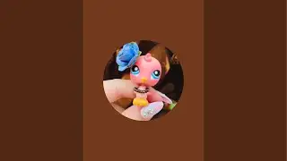 LPStube fandom wiki site info plz fix i am only parakeet studios only acc 