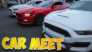 ALOT OF MOPARS AN MUSTANGS AT THIS CAR MEET!