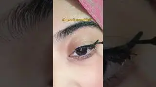 Lakme insta liner review & demo