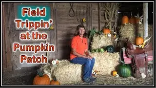 Field Trippin' at the Pumpkin Patch