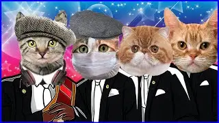 😽 Mom cat with 4 meowing kittens - Coffin Dance Song (COVER) - Cats USA