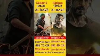 GADAR 2 VS PATHAN MOVIE REVIEW STATUS #viral  #boxoffice COLLECTION IN WORLDWIDE 21 DAYS #gadar #srk