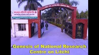 Genesis of National Research Centre on Litchi