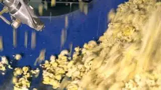 Continuous Flow Oil Applicator-Popcorn Coating