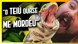 O que lagarto TEIÚ come? [IMAGENS REAIS] Meus Tejus comendo no vídeo - Biólogo Tai