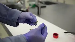 Fabrication of Perovskite Solar Cells