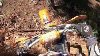 Blow down on long valley trail