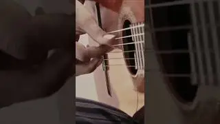 🌍 World fusion 🎶 COMPA&Ntilde;ERO | #leandrobianchi #guitar #rasaworldfusion #music