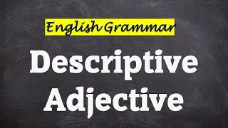 17. Descriptive Adjectives (Beginner)