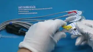 ECG 10092H+XDX 10050  Compatible Sadaat ECG CablesFive Leads Grabber &ndash; IEC  Color