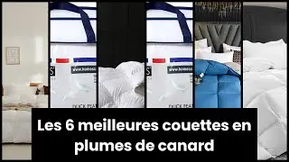 Couette en plumes de canard: Les 6 meilleures couettes en plumes de canard